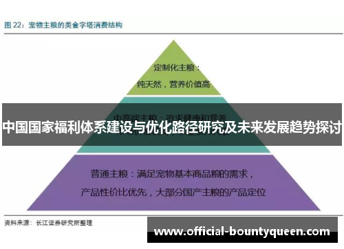 中国国家福利体系建设与优化路径研究及未来发展趋势探讨