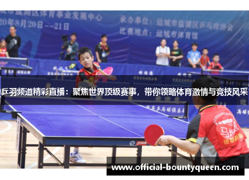 乒羽频道精彩直播：聚焦世界顶级赛事，带你领略体育激情与竞技风采