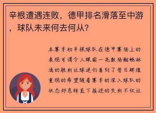 辛根遭遇连败，德甲排名滑落至中游，球队未来何去何从？